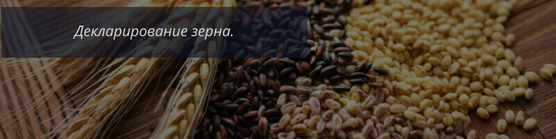 Сертификация зерна