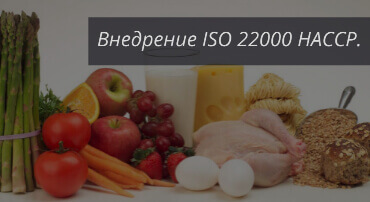 Внедрение ISO 22000 ( ХАССП )